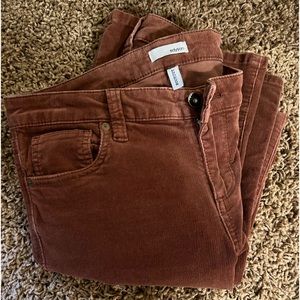 Edyson | Chelsea Corduroy | Bootcut